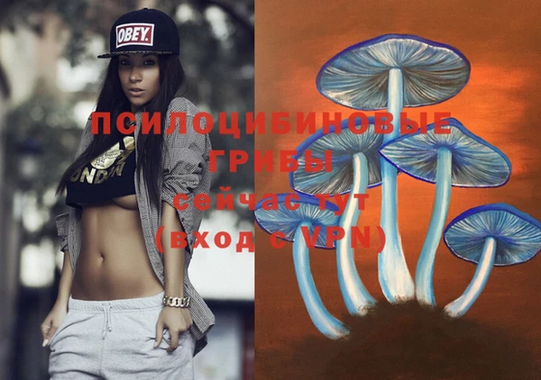 метадон Апатиты