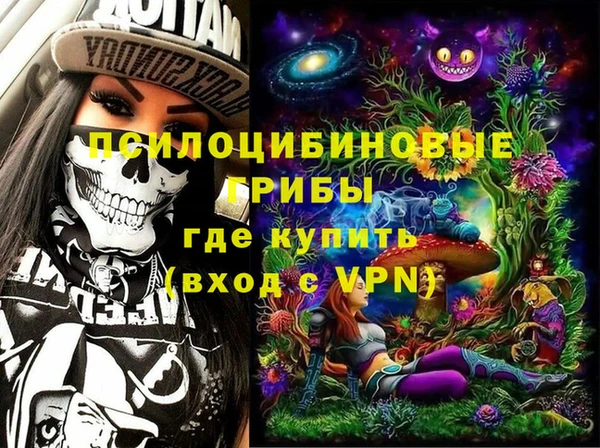 спайс Анива