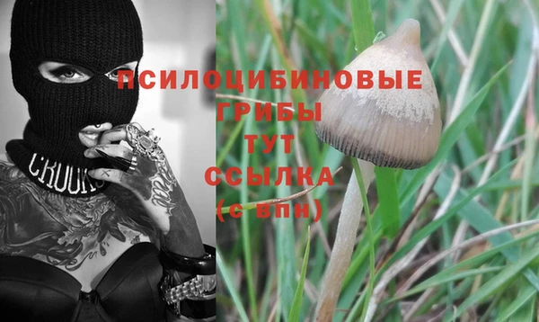 бутират Лиски
